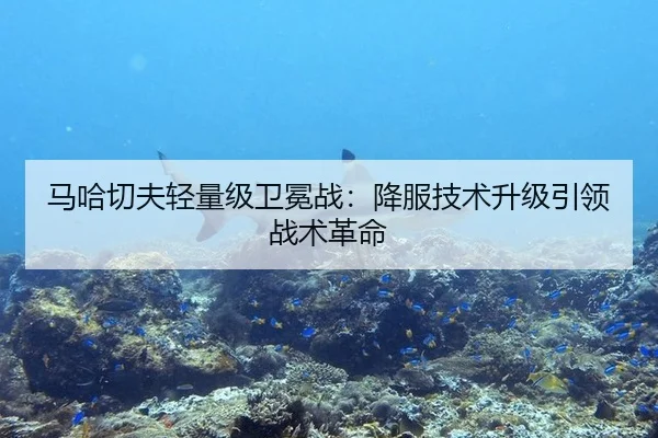 马哈切夫轻量级卫冕战：降服技术升级引领战术革命