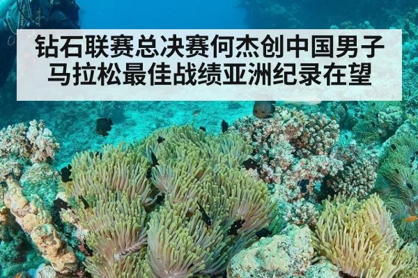 钻石联赛总决赛何杰创中国男子马拉松最佳战绩亚洲纪录在望